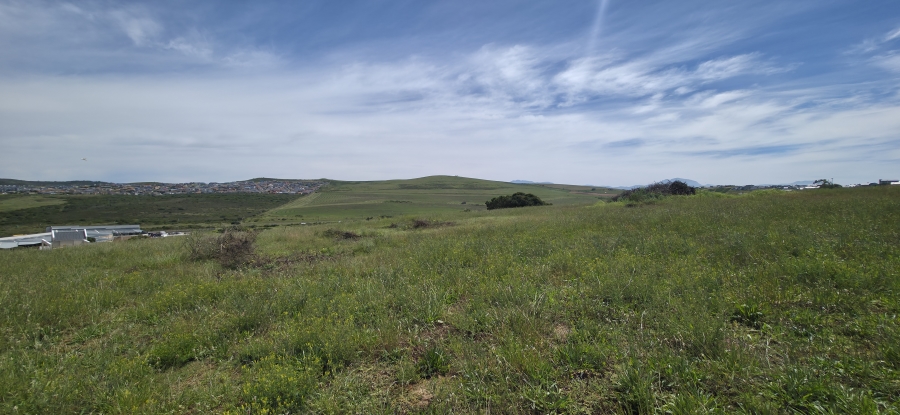 0 Bedroom Property for Sale in Hartland Lifestyle Estate Western Cape
